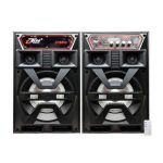 ZR6880 60 (BOX 8) Speaker  2.0 Channel